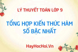 Tổng hợp kiến thức lý thuyết hàm số bậc nhất y = ax + b Toán 9 chương 2 tập 1